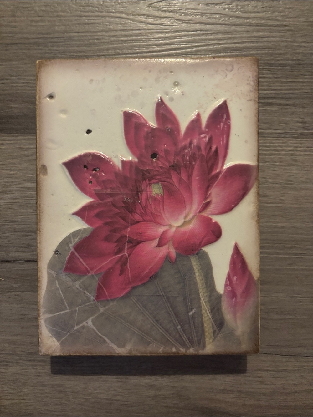 Sid Dickens Memory Block T 259 Ancient Bloom